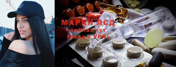 прущие грибы Алексеевка