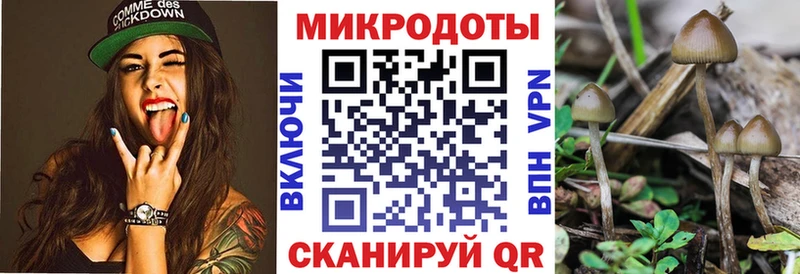 Галлюциногенные грибы Psilocybine cubensis  Арзамас 